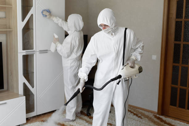 Professional Mold Remediation in Fort Deposit, AL
